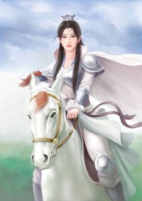 喜事达双